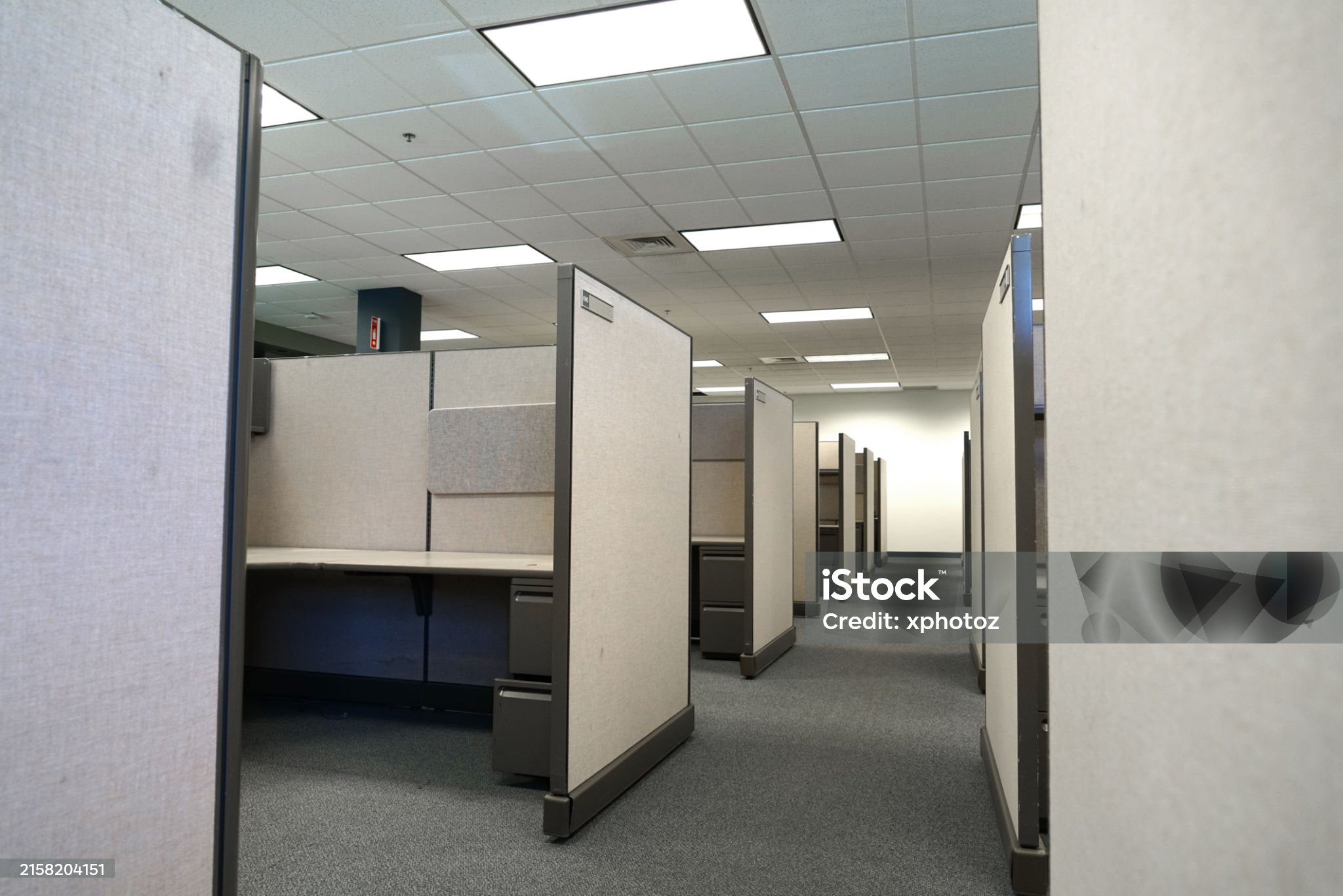 cubicles inside office building, place of work